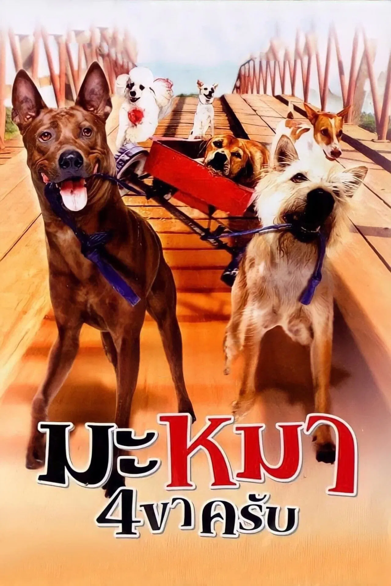 มะหมาขาครับ 2007